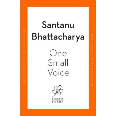 One Small Voice: An Observer best debut novel for 2023