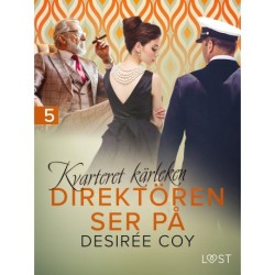 Kvarteret kärleken: Direktören ser på - erotisk novell