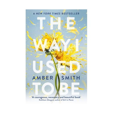 The Way I Used to Be