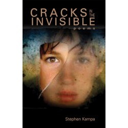 Cracks in the Invisible: Poems