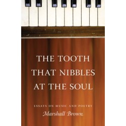 The Tooth That Nibbles at the Soul: Essays on Music and Poetry
