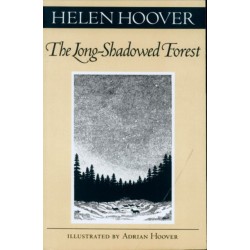 Long-Shadowed Forest