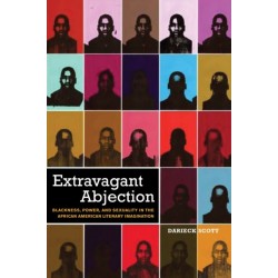Extravagant Abjection: Blackness, Power, and Sexuality in the African American Literary Imagination