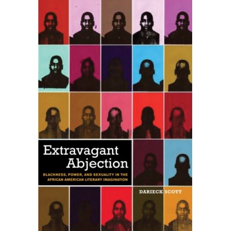 Extravagant Abjection: Blackness, Power, and Sexuality in the African American Literary Imagination