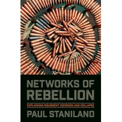 Networks of Rebellion: Explaining Insurgent Cohesion and Collapse