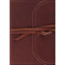 ESV Single Column Journaling Bible, Large Print