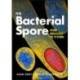 The Bacterial Spore: From Molecules to Systems