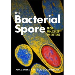 The Bacterial Spore: From Molecules to Systems