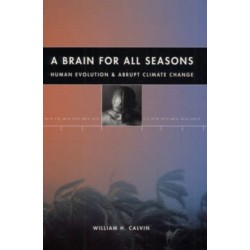 A Brain for All Seasons: Human Evolution and Abrupt Climate Change