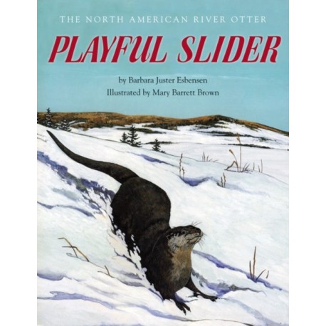 Playful Slider: The North American River Otter