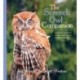 The Screech Owl Companion: Everything You Need to Know about These Beneficial Raptors