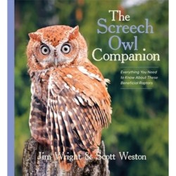 The Screech Owl Companion: Everything You Need to Know about These Beneficial Raptors