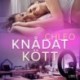 Knådat kött – erotisk novell