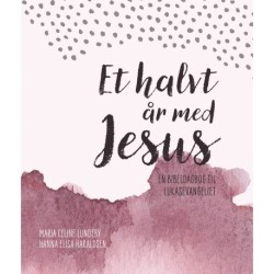 Et halvt år med Jesus: En bibeldagbog til Lukasevangeliet