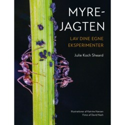 Myrejagten: Lav dine egne eksperimenter