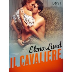 Il cavaliere - Breve racconto erotico