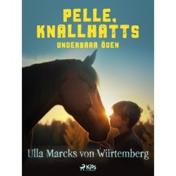 Pelle Knallhatts underbara öden