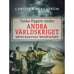 Tyska flygare under andra världskriget : veteranernas berättelser. Del 1