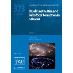 Resolving the Rise and Fall of Star Formation in Galaxies (IAU S373)