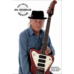 Rock and Roll Survivor