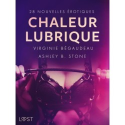 Chaleur lubrique : 28 nouvelles érotiques