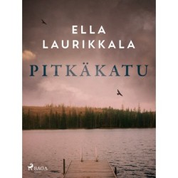 Pitkäkatu