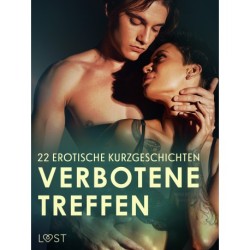 Verbotene Treffen: 22 erotische Kurzgeschichten