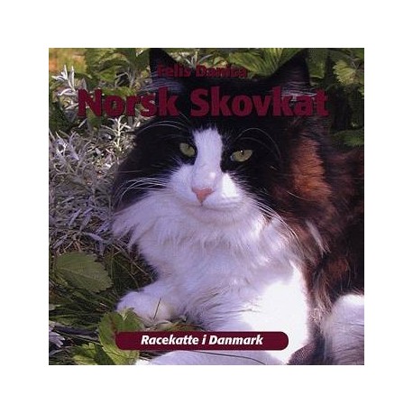 Norsk skovkat