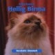 Hellig Birma