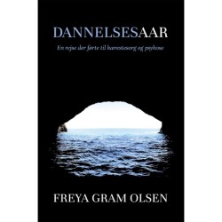 Dannelsesaar: En rejse der førte til kærestesorg og psykose