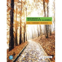 Beginning & Intermediate Algebra