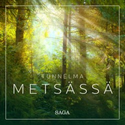 Tunnelma - Metsässä