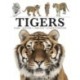 Tigers