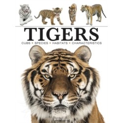 Tigers