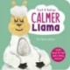 Calmer Llama: Touch and Feelings: With Touch & Feel and a Shiny Mirror!