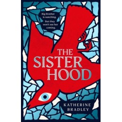 The Sisterhood: Big Brother is watching. But they won't see her coming.