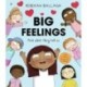 Big Feelings: And what they tell us