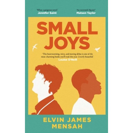 Small Joys: A Buzzfeed 'Amazing New Book You Need to Read ASAP'