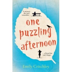 One Puzzling Afternoon: A heartbreaking, captivating mystery for fans of The List of Suspicious Things
