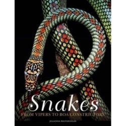 Snakes: From Vipers to Boa Constrictors