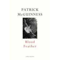 Blood Feather: ‘He writes with Proustian elan and Nabokovian delight’ John Banville