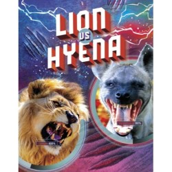 Lion vs Hyena