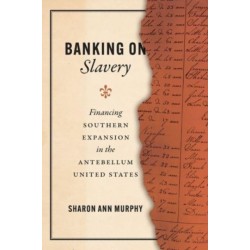 Banking on Slavery: Financing Southern Expansion in the Antebellum United States