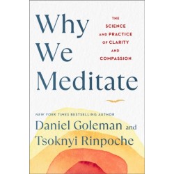 Why We Meditate: The Science and Practice of Clarity and Compassion