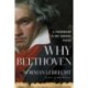 Why Beethoven: A Phenomenon in One Hundred Pieces