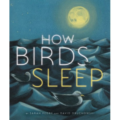 How Birds Sleep