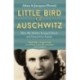 Little Bird of Auschwitz: How My Mother Escaped Death and Found Our Family