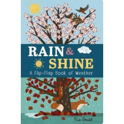 Rain & Shine: A Flip-Flap Book of Weather: A Flip-Flap Book of Weather