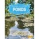 Ponds