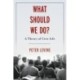 What Should We Do?: A Theory of Civic Life